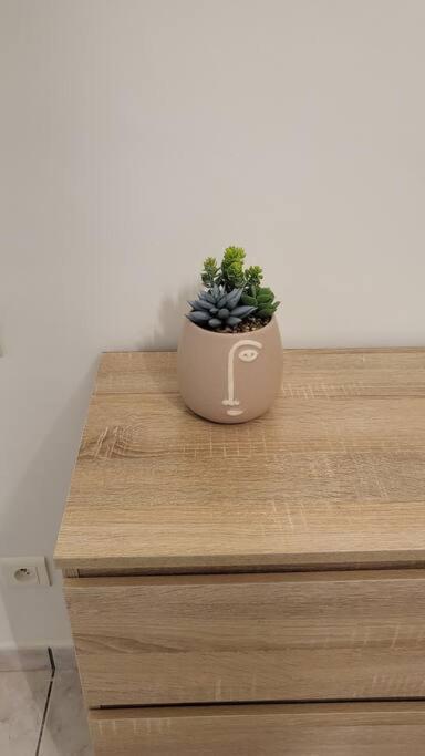 Appartement Chaleureux, Proche De La Gare Perpignan Kültér fotó