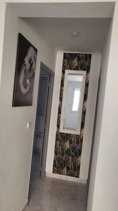 Appartement Chaleureux, Proche De La Gare Perpignan Kültér fotó
