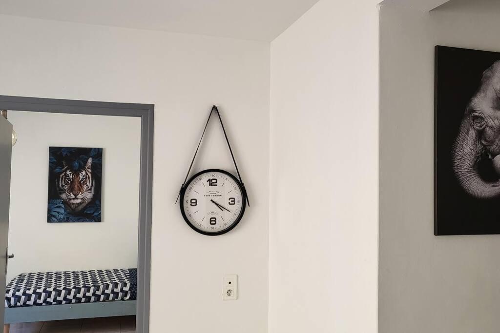 Appartement Chaleureux, Proche De La Gare Perpignan Kültér fotó
